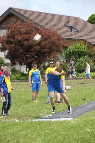 STF2016 Img012